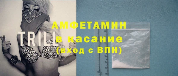 индика Ельня