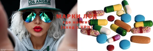 индика Ельня