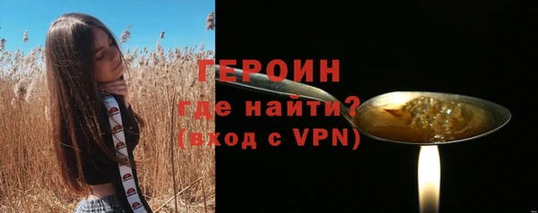 индика Ельня