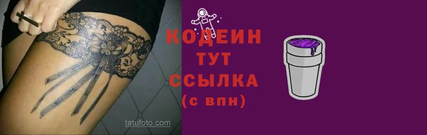 индика Ельня