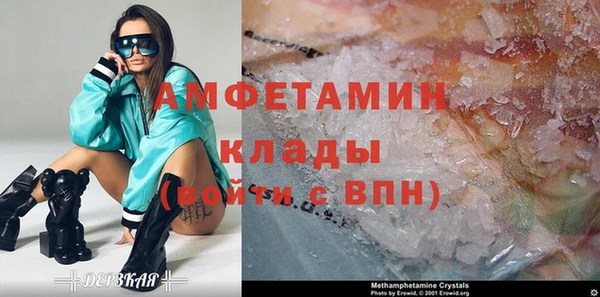 индика Ельня