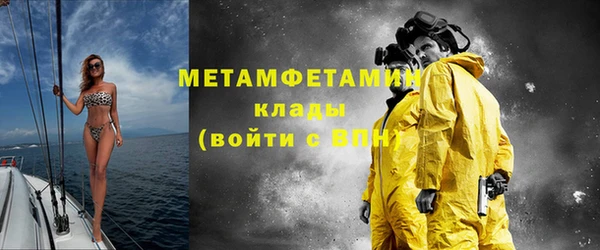 индика Ельня